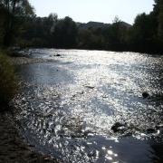 07.10.2005 14-11-40_0388